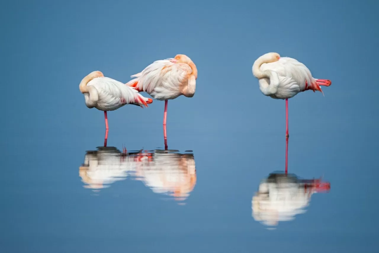 Ảnh ấn tượng: Nga đề cập việc ai sẽ ra lệnh ngừng bắn ở Ukraine và cái giá phải trả; ông Trump nói thời điểm chấm dứt nguy cơ Moscow tấn công NATO