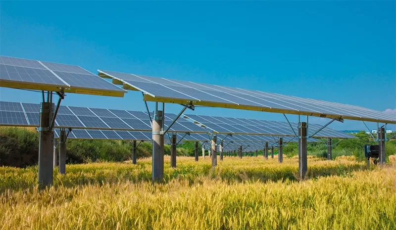 Phát triển năng lượng tái tạo ở nông thôn: Từ triển vọng đến thực tiễn