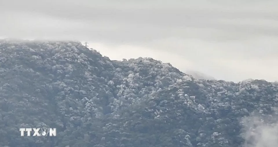 Hình ảnh băng tuyết bất ngờ phủ trắng đỉnh Tà Xùa, Yên Bái