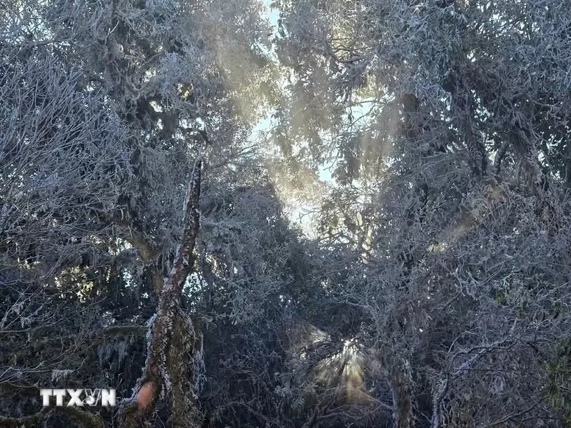 Hình ảnh băng tuyết bất ngờ phủ trắng đỉnh Tà Xùa, Yên Bái