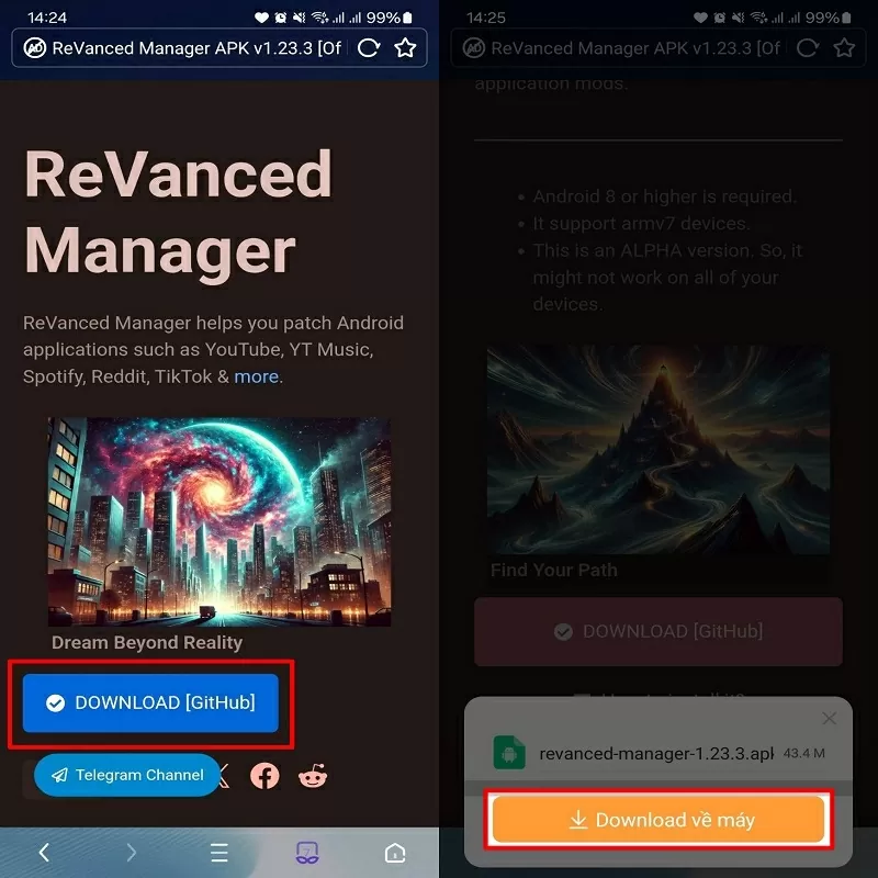 Nhấn vào nút Download Manager Nhấn vào nút Download Manager