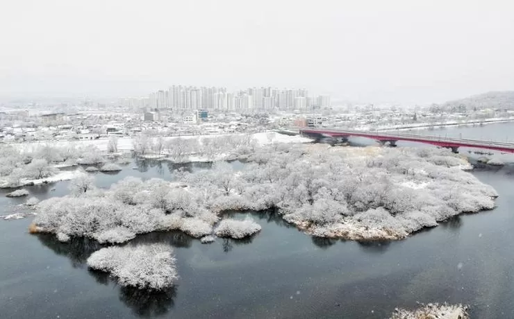 Khung cảnh trắng xoá ở Hàn Quốc sau khi bị bão tuyết ‘tấn công’