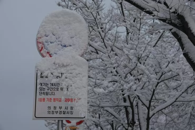 Khung cảnh trắng xoá ở Hàn Quốc sau khi bị bão tuyết ‘tấn công’