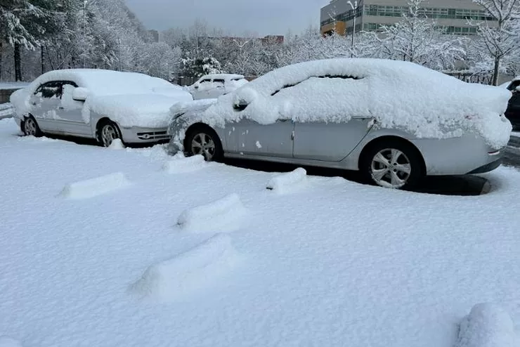 Khung cảnh trắng xoá ở Hàn Quốc sau khi bị bão tuyết ‘tấn công’