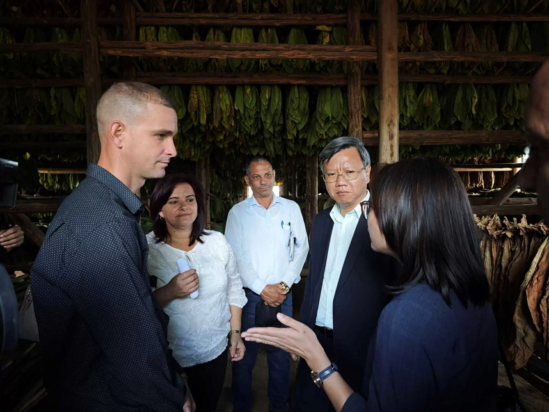 Thúc đẩy hợp tác giữa tỉnh Pinar del Río, Cuba và các địa phương và doanh nghiệp Việt Nam Thúc đẩy hợp tác giữa tỉnh Pinar del Río, Cuba và các địa phương và doanh nghiệp Việt Nam
