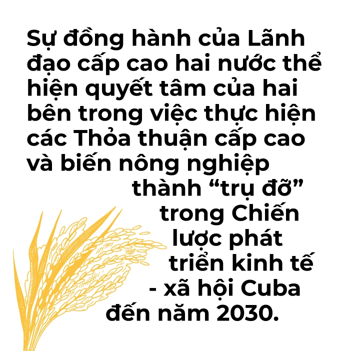 'Hạt giống hữu nghị' đang vươn mầm mạnh mẽ