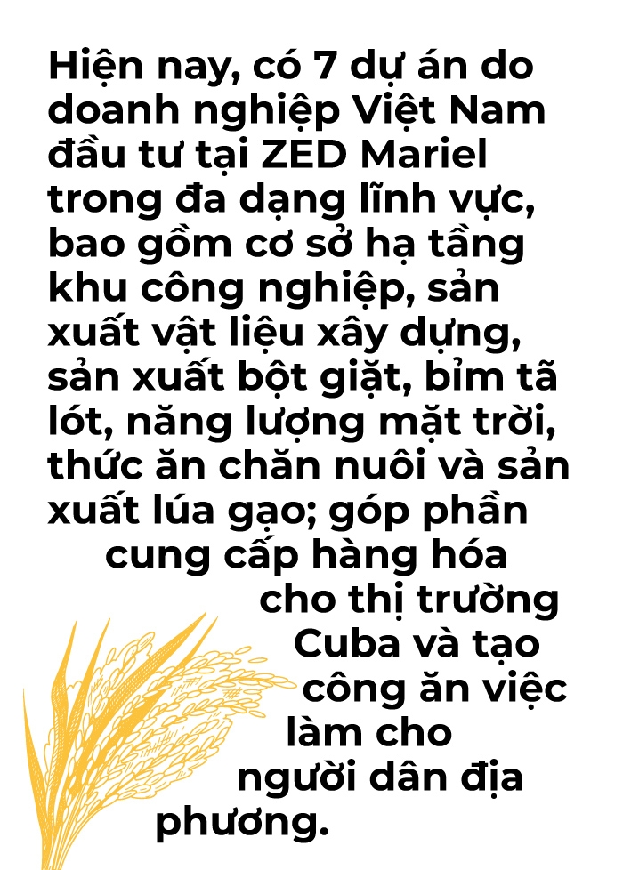 'Hạt giống hữu nghị' đang vươn mầm mạnh mẽ