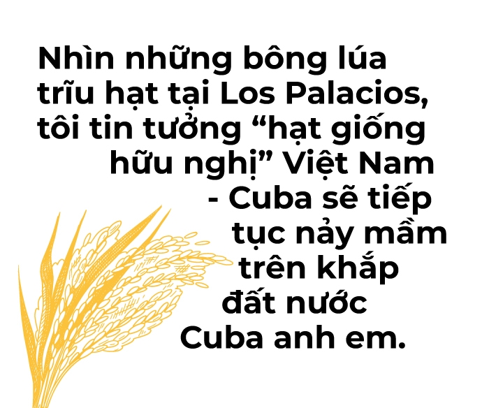 'Hạt giống hữu nghị' đang vươn mầm mạnh mẽ