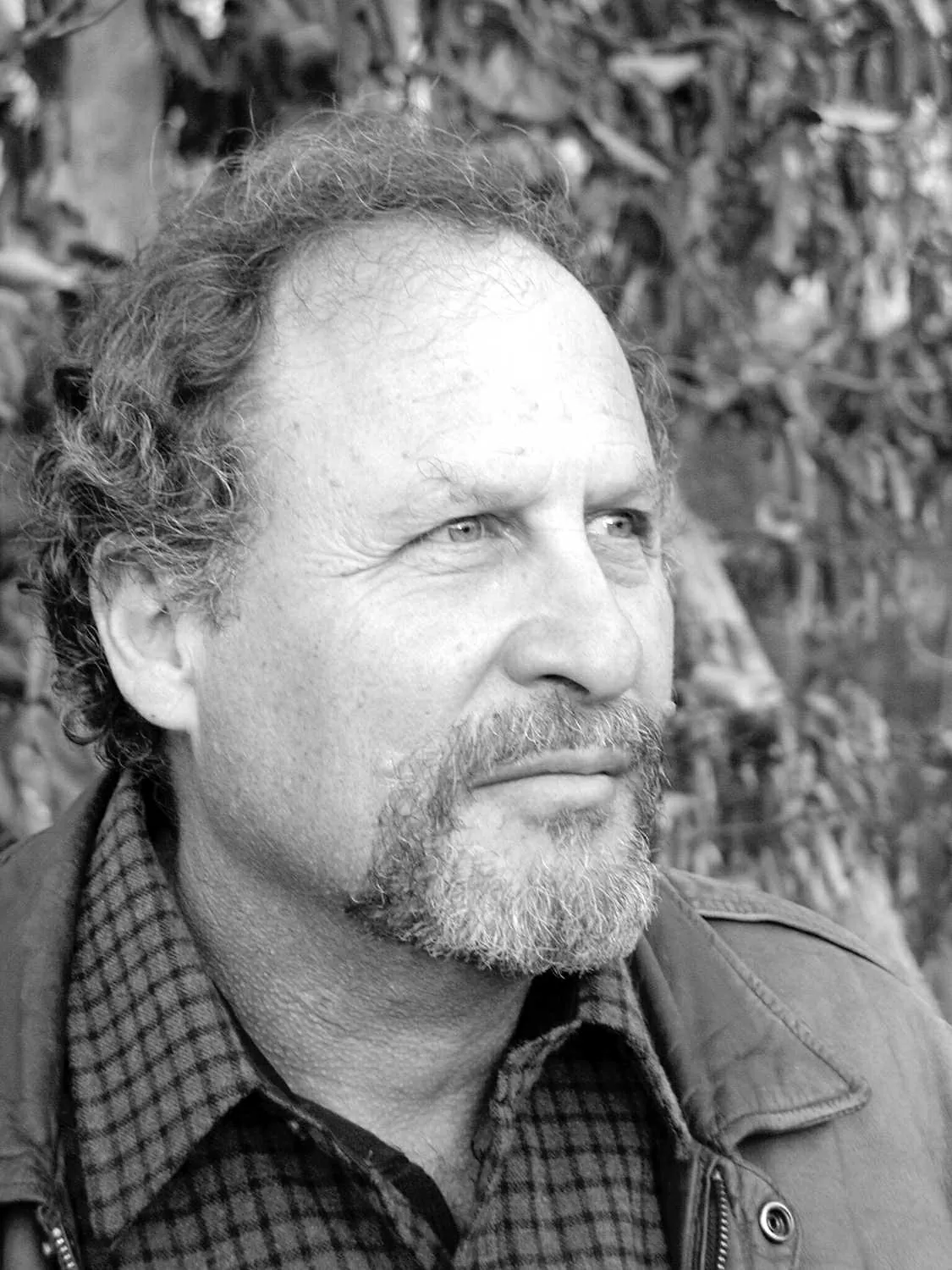 Cơ hội giao lưu với nhà văn Mỹ Wayne Karlin