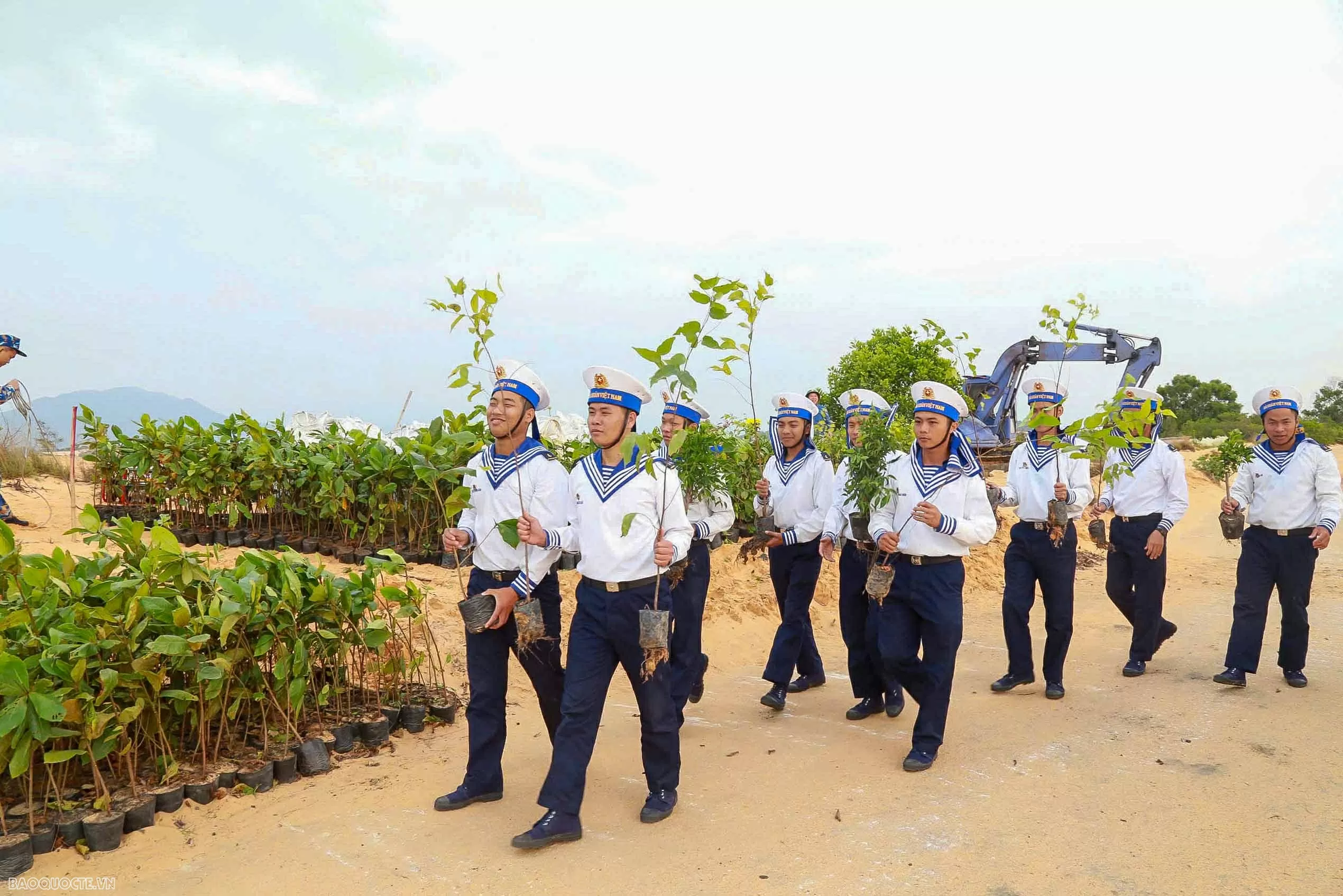 Vùng 4 Hải quân phủ xanh bán đảo Cam Ranh Vùng 4 Hải quân phủ xanh bán đảo Cam Ranh