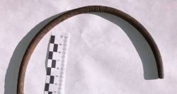 Ba Lan: Phát hiện chiếc vòng cổ quý hiếm trên cánh đồng