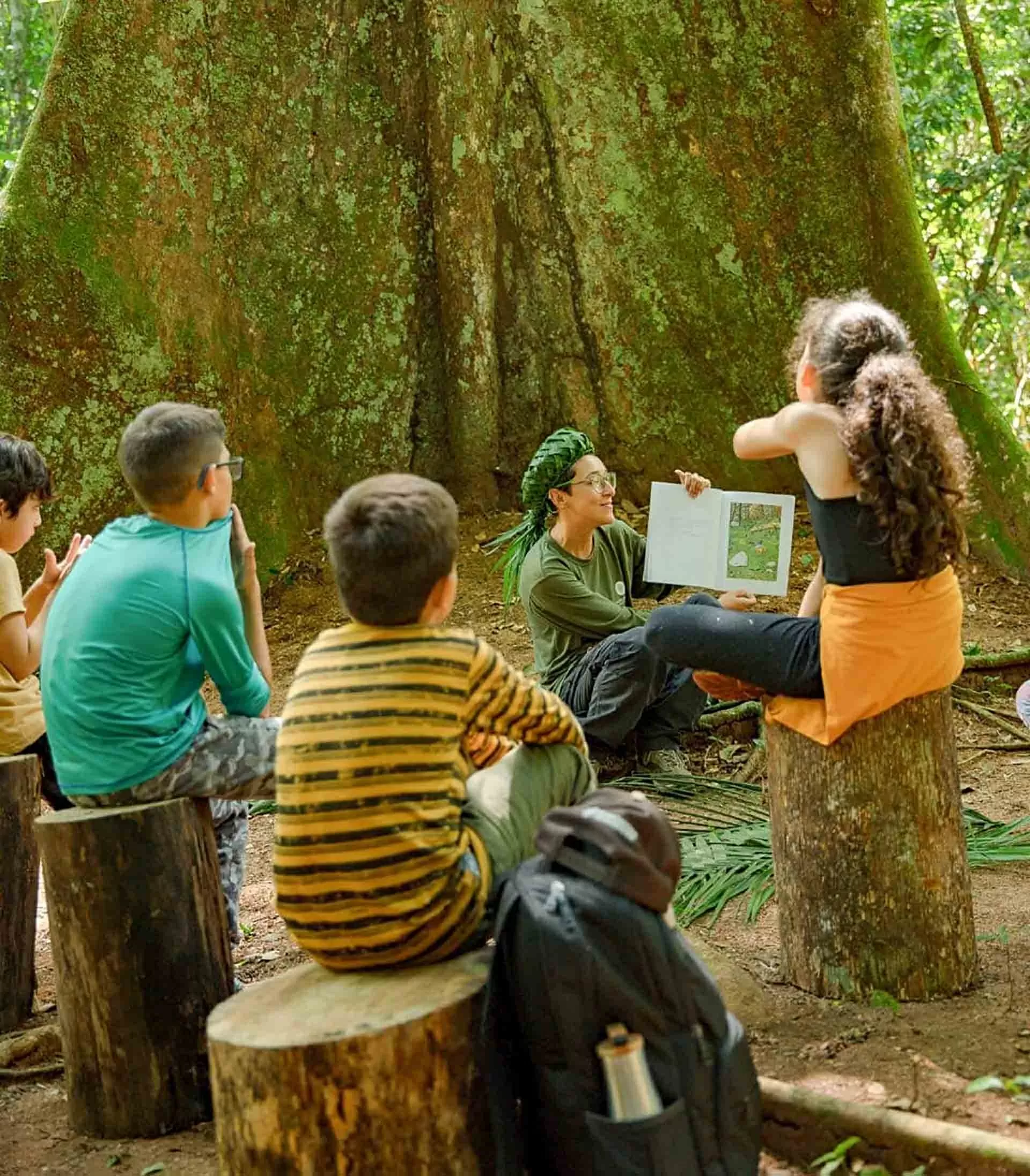 ‘Cây hút tiền’ của Brazil ‘Cây hút tiền’ của Brazil