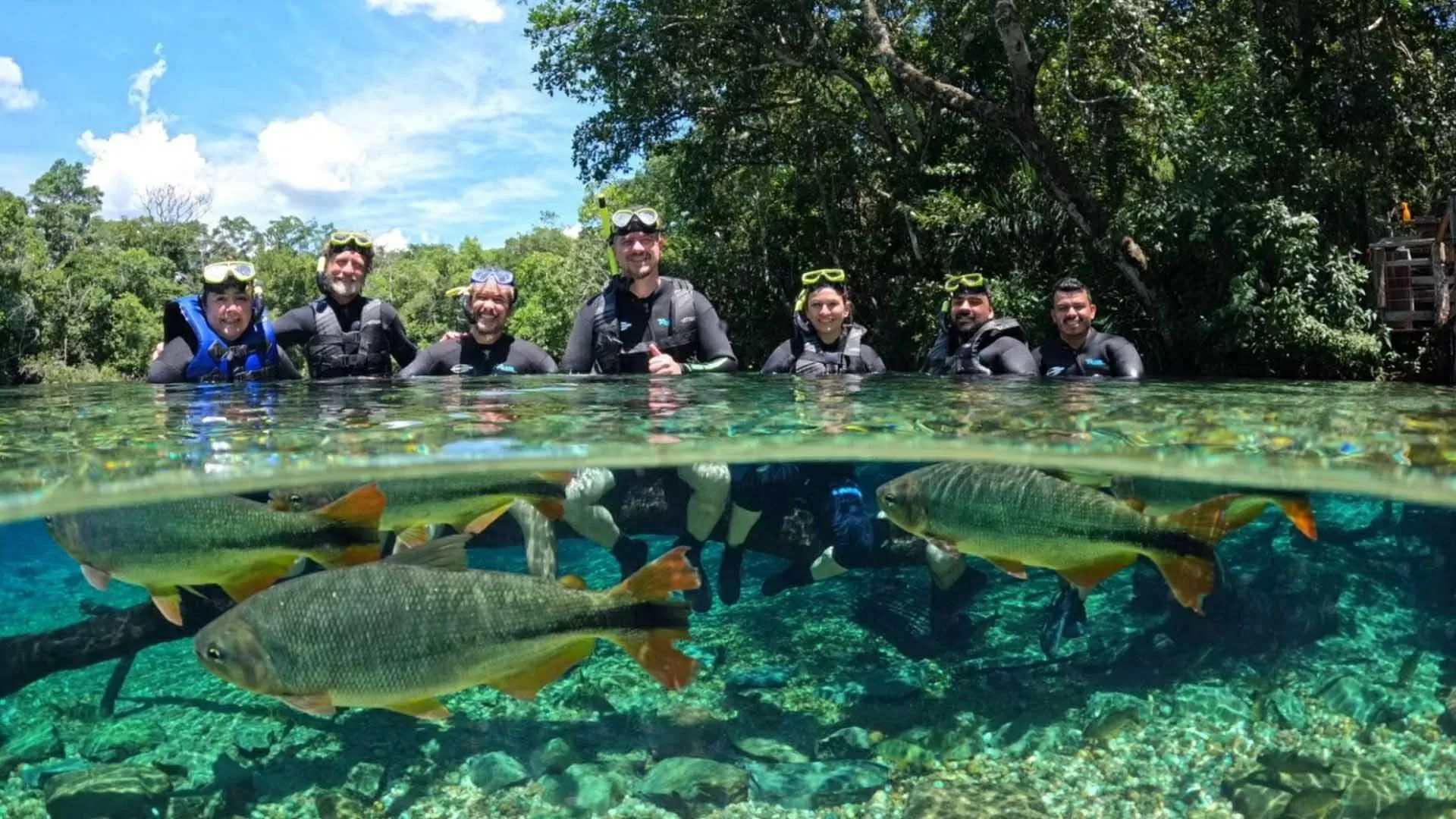 ‘Cây hút tiền’ của Brazil ‘Cây hút tiền’ của Brazil