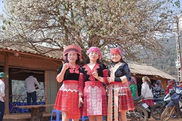 Hoa sơn tra bung nở níu chân du khách giữa đại ngàn Tây Bắc Hoa sơn tra bung nở níu chân du khách giữa đại ngàn Tây Bắc