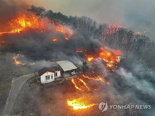 Hàn Quốc: Cháy rừng bùng phát trở lại trong đêm, ảnh hưởng đến 30 di sản văn hóa, 2 báu vật quốc gia bị 'bà hỏa' động chạm