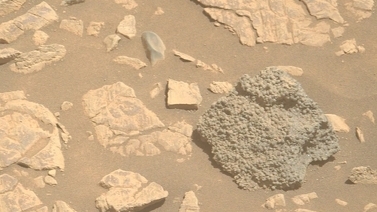 Xe tự hành của NASA phát hiện hàng trăm 'trứng nhện' trên sao Hỏa