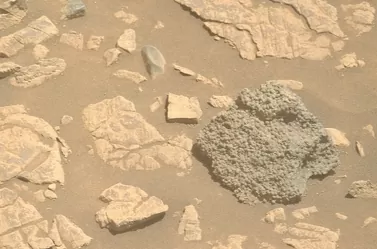 NASA phát hiện 'tổ trứng nhện' bí ẩn trên sao Hỏa