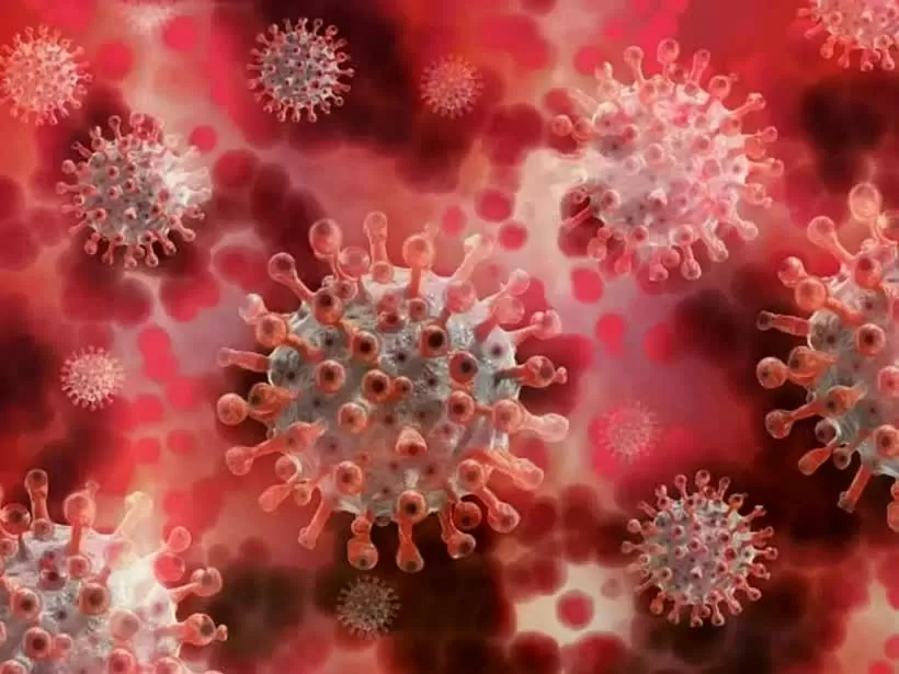 Xuất hiện virus lạ gây triệu chứng ho ra máu ở Nga