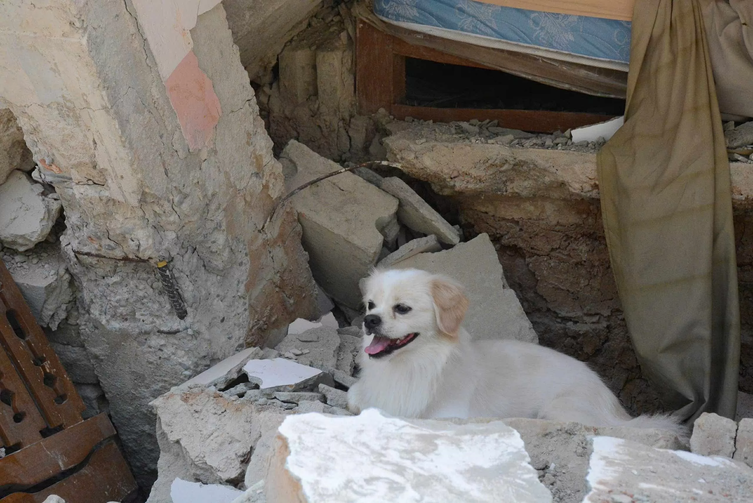 Những hình ảnh lực lượng Việt Nam cứu trợ động đất tại Myanmar Những hình ảnh lực lượng Việt Nam cứu trợ động đất tại Myanmar