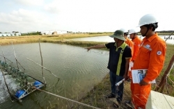 Lịch cúp điện Bạc Liêu hôm nay ngày 1/4/2025