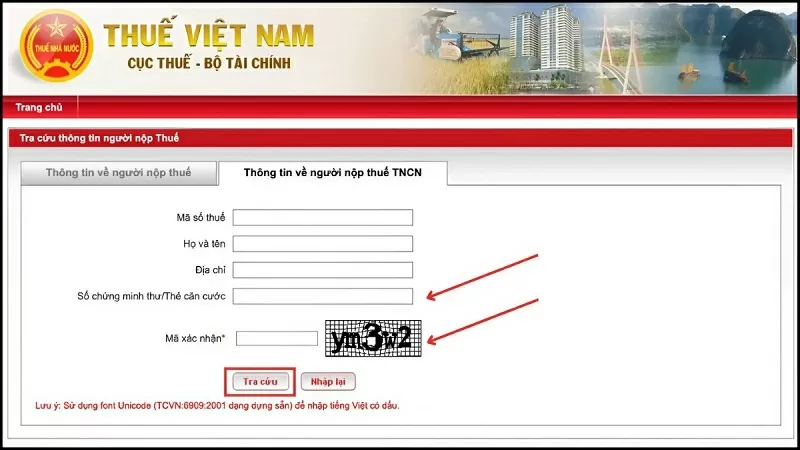 Hướng dẫn tra cứu Tax Code TikTok theo mã số cá nhân
