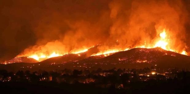 cac nha nghien cuu israel phat trien tri tue nhan tao du doan chay rung do set danh