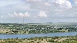 Xây dựng một Việt Nam xanh (kỳ II): Thêm lời hiệu triệu từ doanh nghiệp cùng cái 'bắt tay' của cộng đồng quốc tế