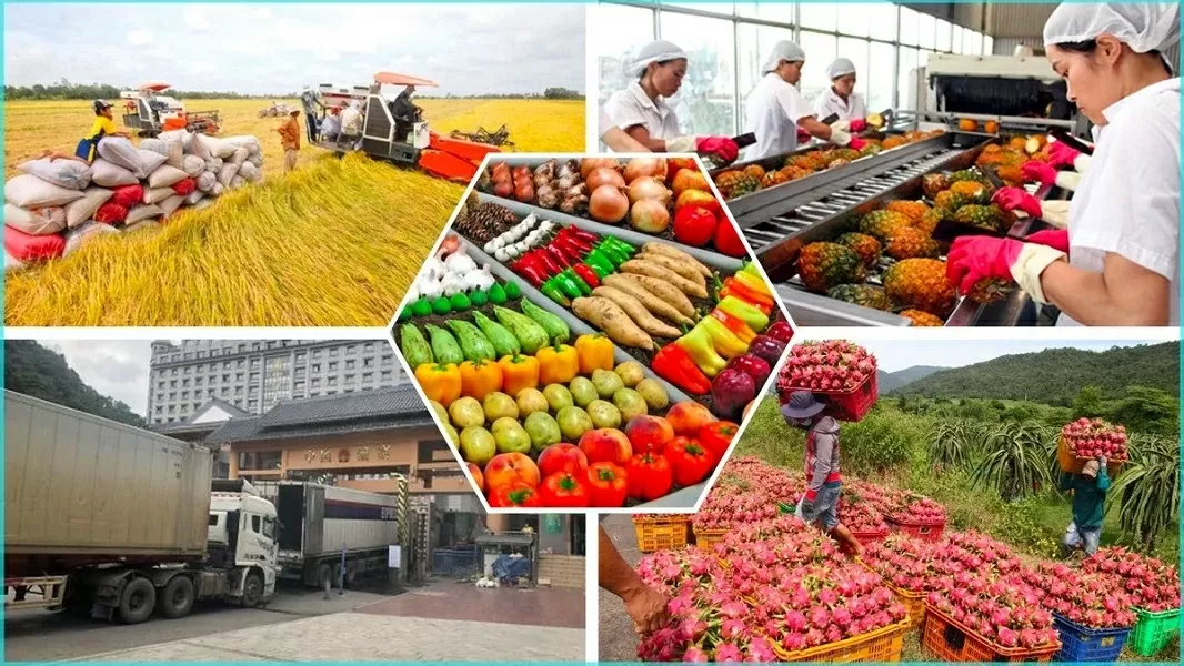 Chuyển đổi xanh: 'Mệnh lệnh' cấp bách cho cả Việt Nam và Bangladesh Chuyển đổi xanh: 'Mệnh lệnh' cấp bách cho cả Việt Nam và Bangladesh