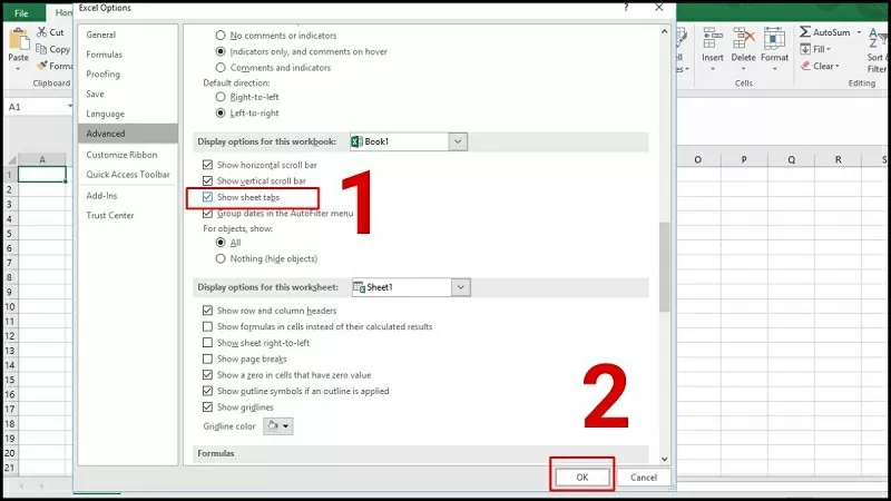 Tích chọn vào ô Show Sheet Tabs Tích chọn vào ô Show Sheet Tabs
