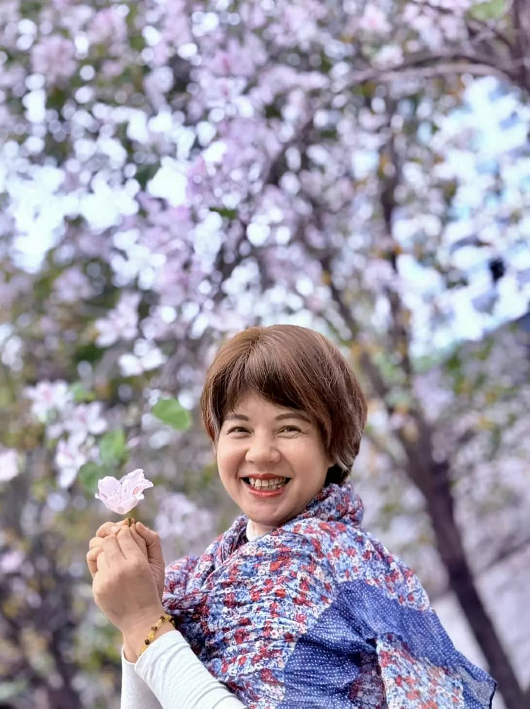 Sao Việt