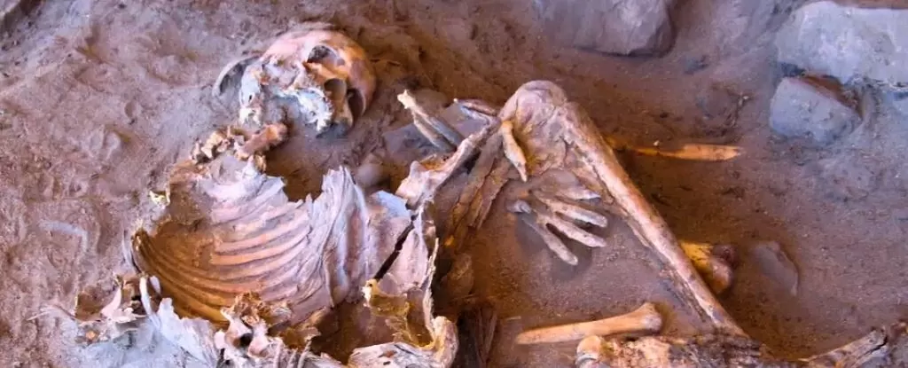 Sa mạc Sahara từng bạt ngàn xanh tươi, là nơi sinh sống của nhóm người tiền sử