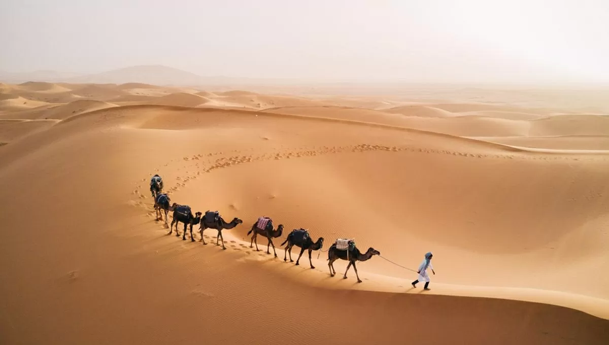 Sa mạc Sahara là một trong những nơi khô cằn và hoang vắng nhất trên Trái đất. (Nguồn: FLI Science)