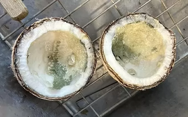 Tử vong sau khi uống một ngụm nước dừa