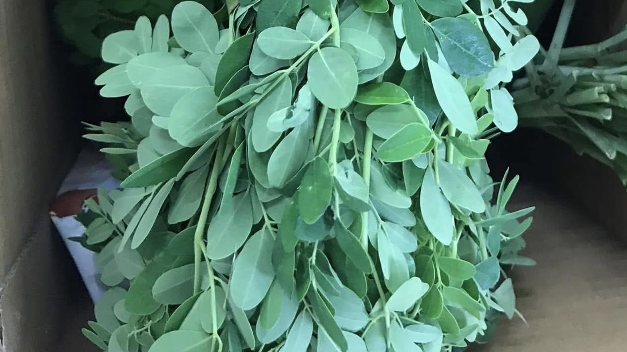 Loại rau nào giàu canxi gấp 4 lần sữa, nhiều vitamin C gấp 7 lần cam?