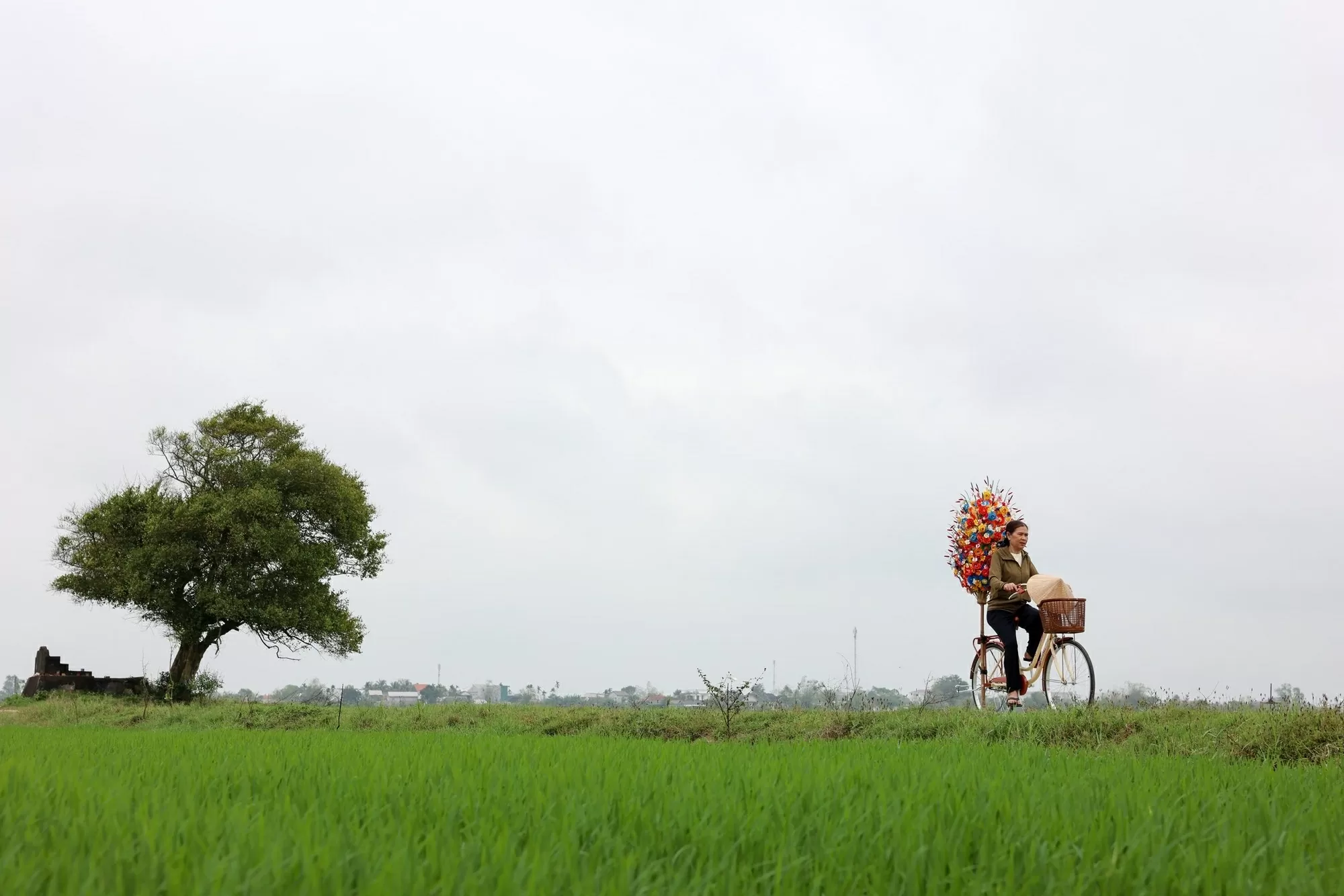 Khám phá làng nghề làm hoa giấy 300 tuổi ở Huế