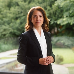 Việt Nam, Colombia và P4G: 'Vun trồng' các sáng kiến mới