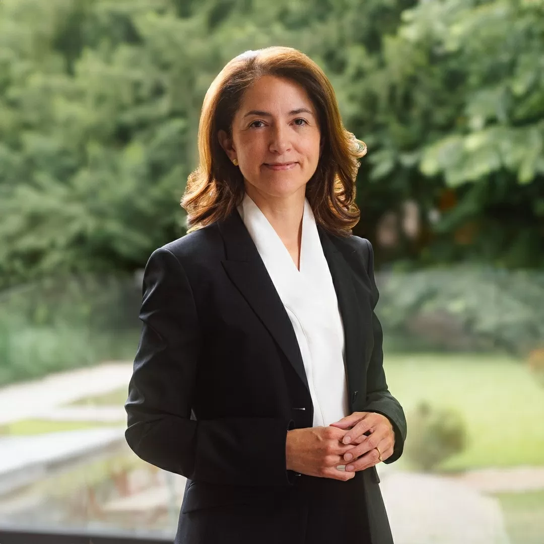 Việt Nam, Colombia và P4G: 'Vun trồng' các sáng kiến mới