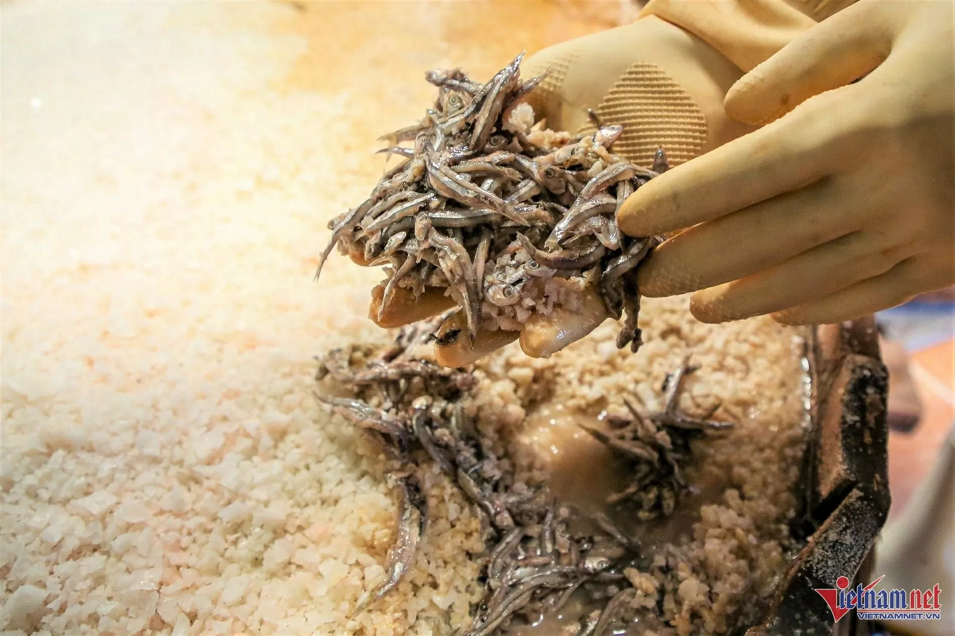 Thạc sĩ bỏ phố về quê phục hồi nghề truyền thống gia đình, kiếm bạc tỷ mỗi năm