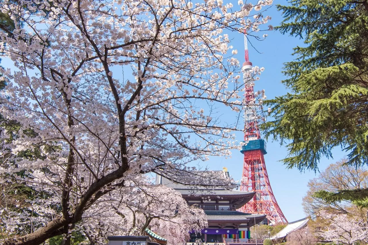 Vùng thủ đô Tokyo của Nhật Bản trở thành “nam châm” hút lao động nước ngoài Vùng thủ đô Tokyo của Nhật Bản trở thành “nam châm” hút lao động nước ngoài