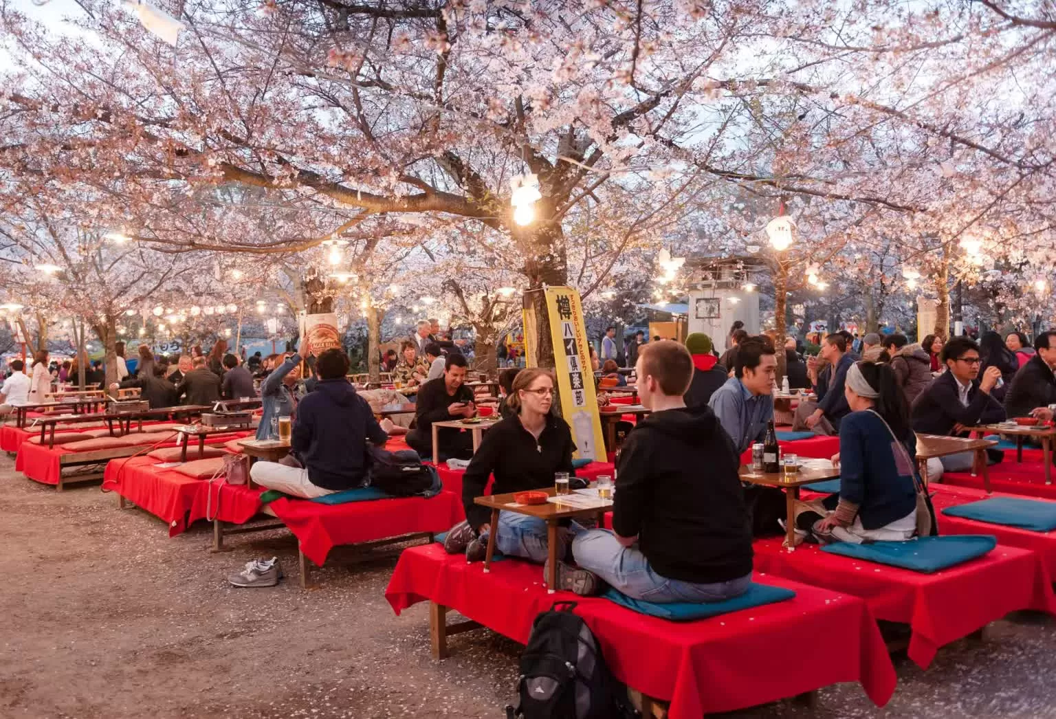 Du lịch Nhật Bản ‘nở rộ’ mùa lễ hội Hanami