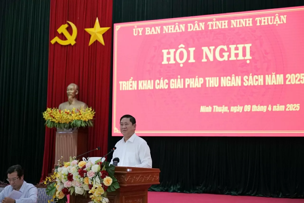 Chủ tịch UBND tỉnh Trần Quốc Nam phát biểu tại hội nghị