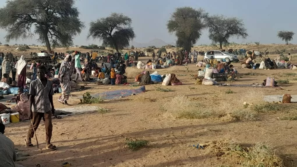 Xung đột Sudan: Mỹ-Saudi Arabia kêu gọi hòa đàm, Anh hành động