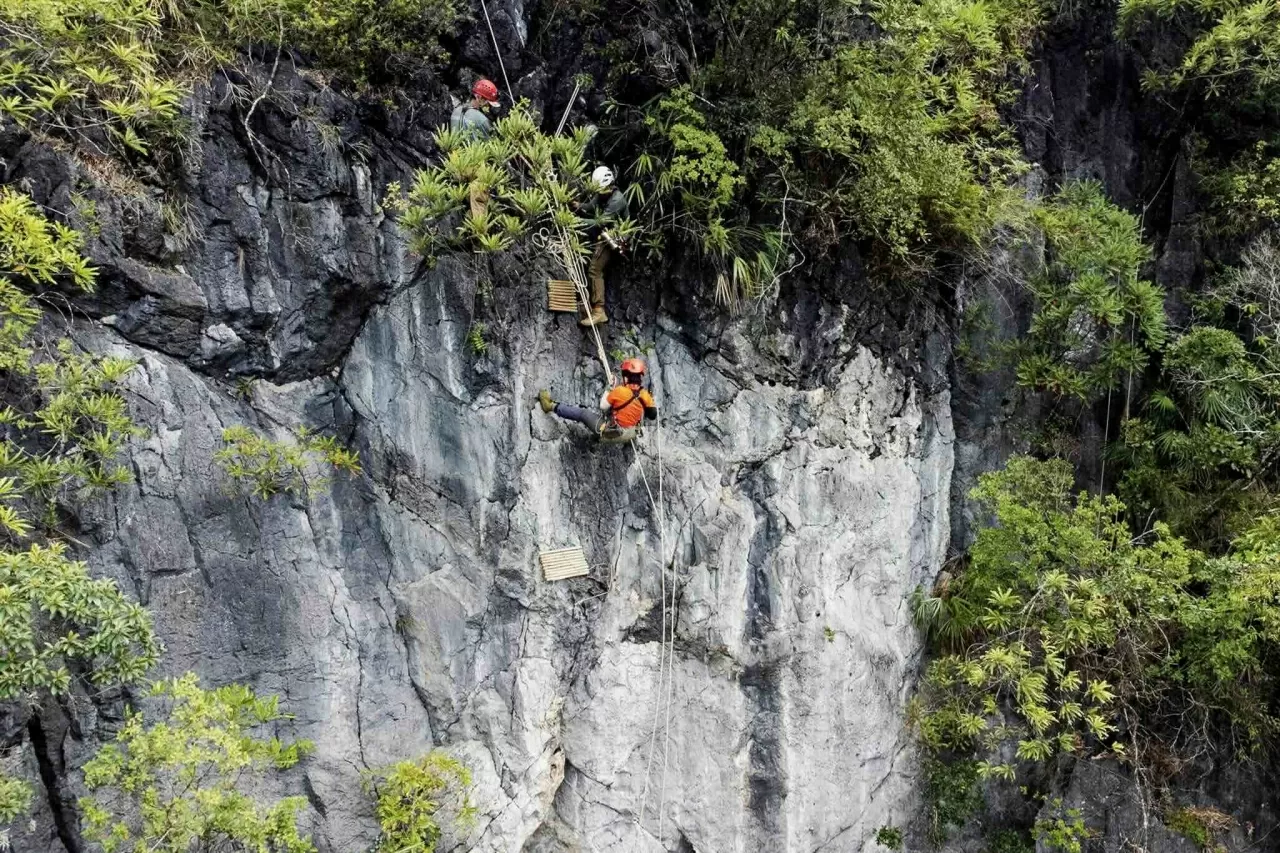 Thung lũng Lân Ty (Lạng Sơn): Điểm tránh nóng dịp nghỉ lễ 30/4-1/5Tháng 5 đến tháng 8 là thời điểm đẹp nhất trong năm khi thung lũng Lân Ty tràn ngập Thung lũng Lân Ty (Lạng Sơn): Điểm tránh nóng dịp nghỉ lễ 30/4 1/5Tháng 5 đến tháng 8 là thời điểm đẹp nhất trong năm khi thung lũng Lân Ty tràn ngập