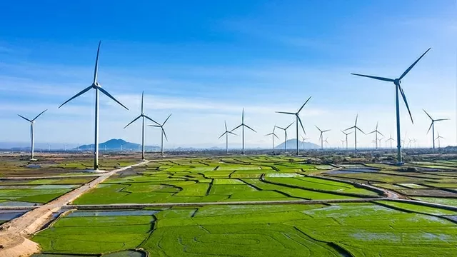 Định hình một Việt Nam xanh hơn Định hình một Việt Nam xanh hơn