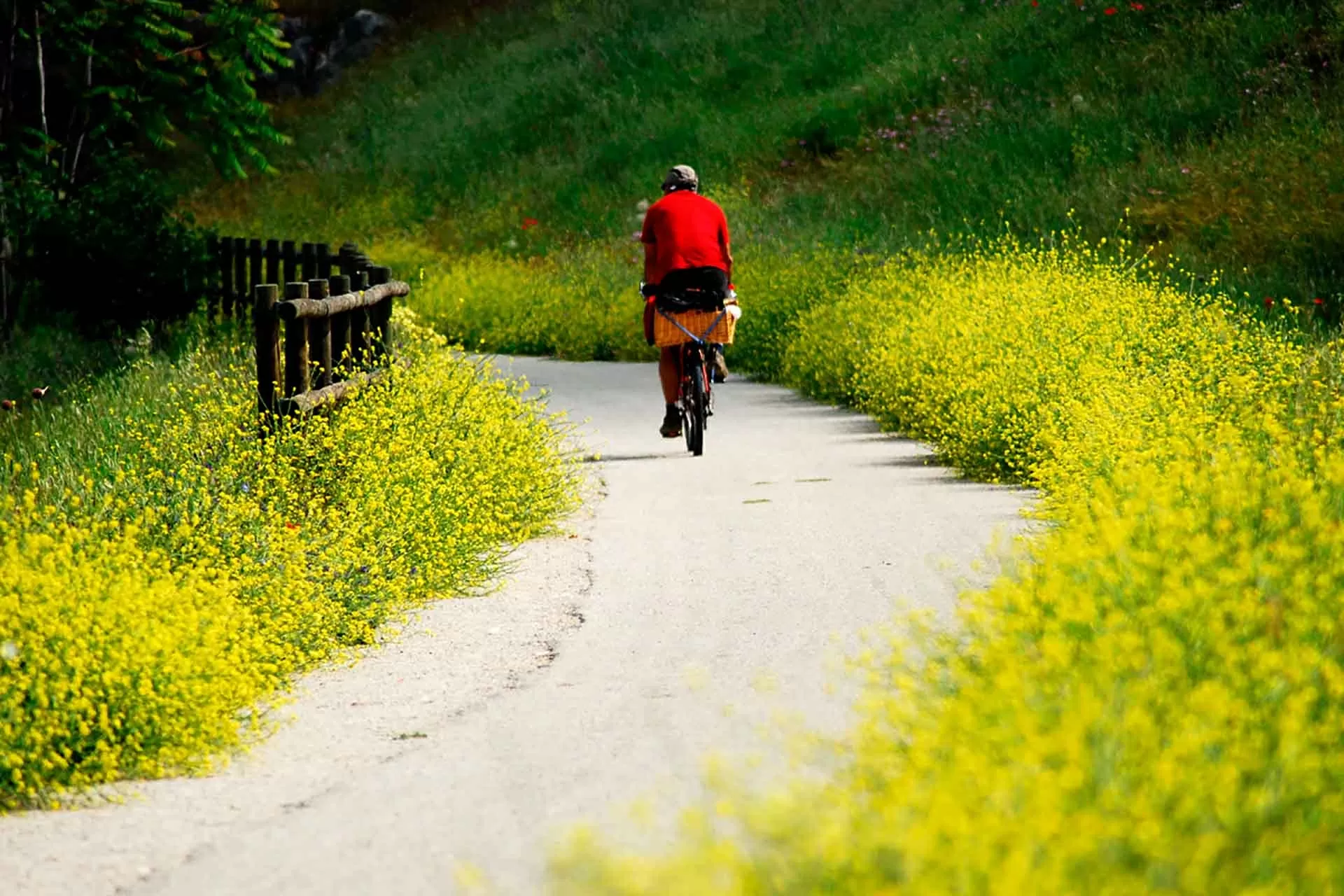 Giao lộ thiên nhiên và văn hóa