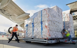 Apple chuyển 600 tấn iPhone sang Mỹ để tránh thuế