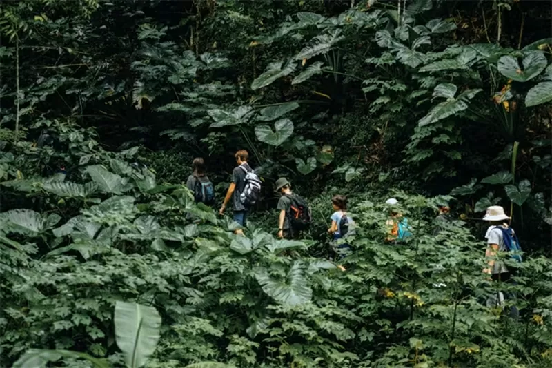 Thiên đường chăm sóc sức khỏe Bali