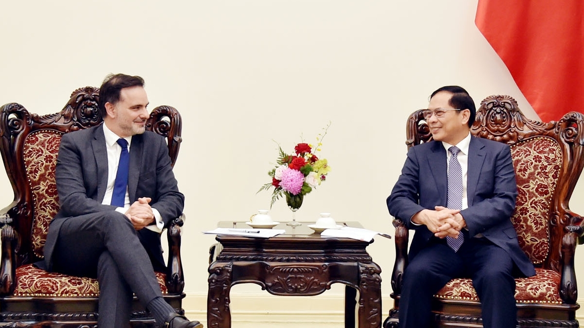 pho thu tuong bo truong ngoai giao bui thanh son tiep bo truong dac trach ngoai thuong va nguoi phap o nuoc ngoai