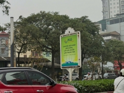 Thắp sáng kinh tế tuần hoàn trong kỷ nguyên mới (kỳ I): Tạo 'tổ' tốt nhất đón thêm 'đại bàng', nối dài hợp tác với P4G