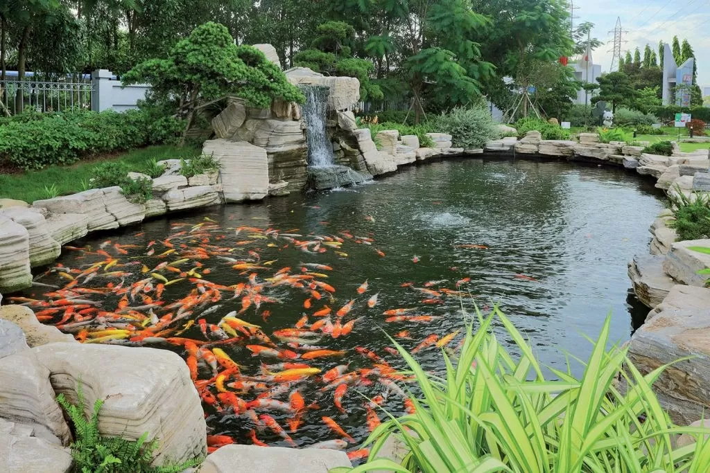 'Thắp sáng' kinh tế tuần hoàn trong kỷ nguyên mới (kỳ II): Từ hai bức thư của Đại tướng Võ Nguyên Giáp đến một khu công nghiệp sinh thái tiên phong